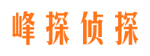 罗山市私家侦探